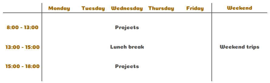 Week timetable